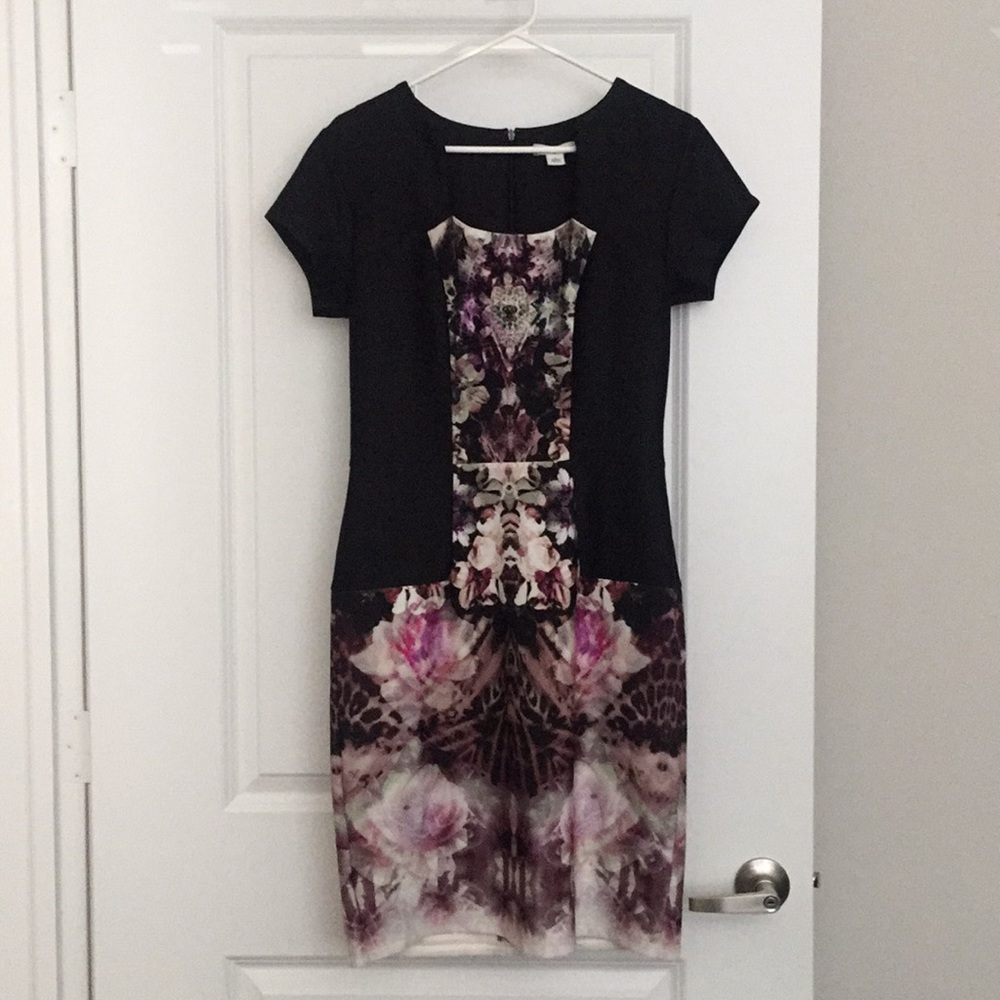 Cato Business Professional Dress